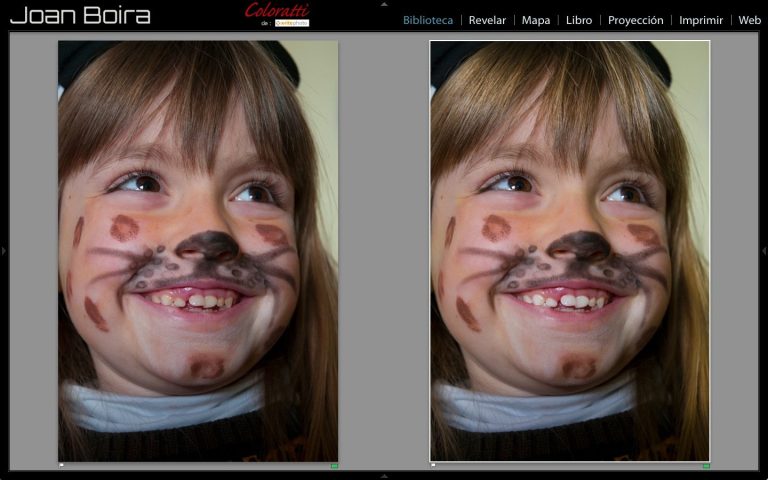 Pinceles De Retrato Para Lightroom