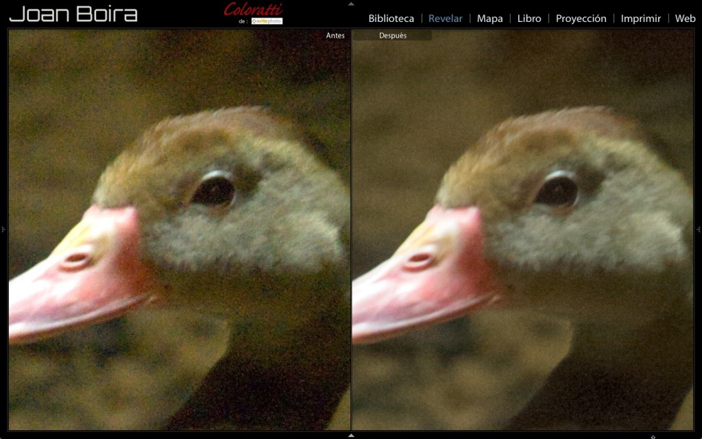 Antes Y Después De La Reducción De Ruido En Lightroom