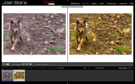 Ajuste luz y color en Lightroom (videoturorial) 1 Ajuste Luz Y Color En Lightroom (Videoturorial)