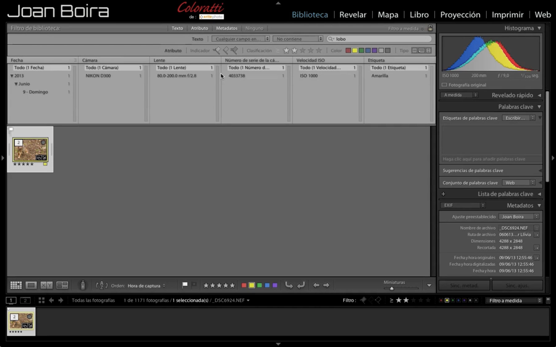 Herramienta Filtro De Lightroom