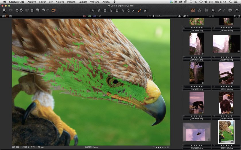 Máscara De Foco Capture One Pro 7