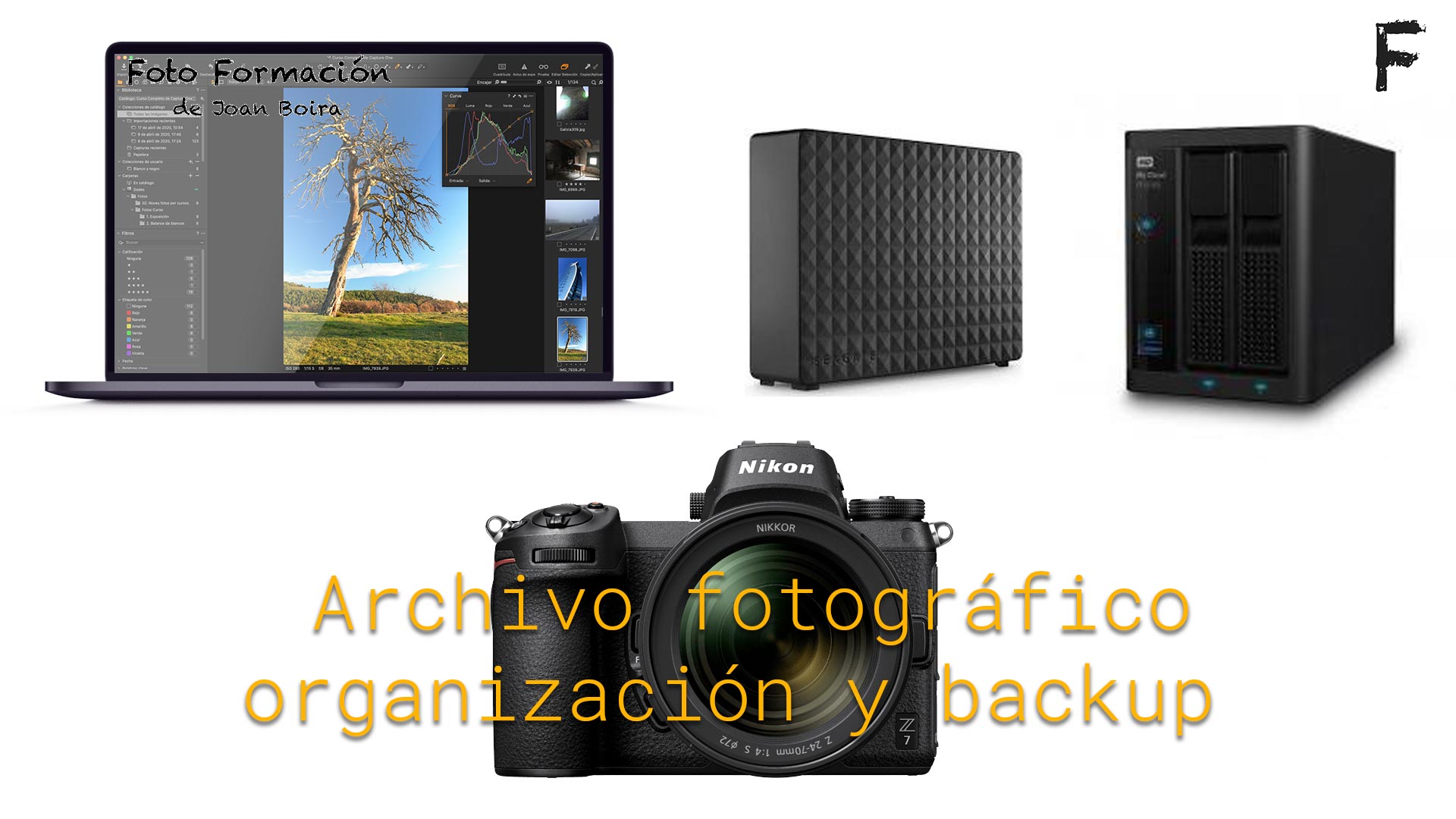 Organización Del Archivo Fotográfico Y Backup