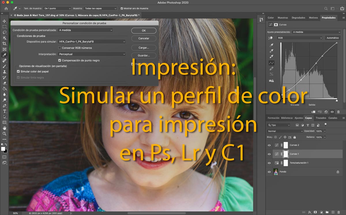 Cómo Simular Un Perfil De Color Para Impresión
