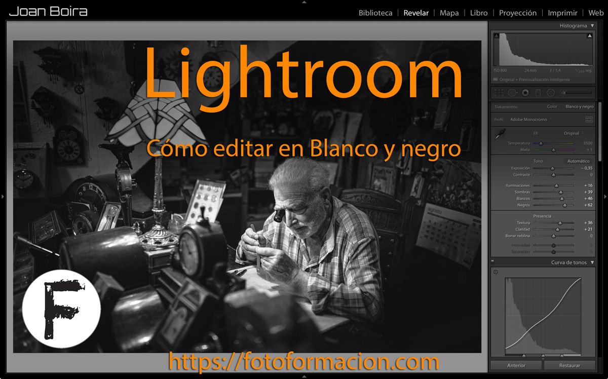 Cómo Editar En Blanco Y Negro En Lightroom