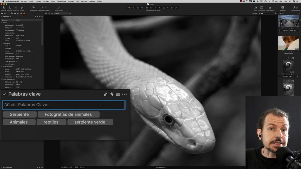 02. Palabras Clave. Capture One Completo