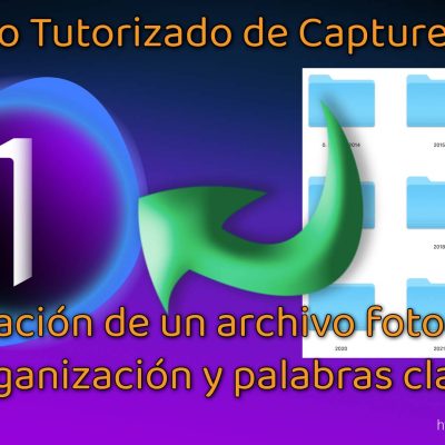 Importación de un archivo fotográfico. Organización y palabras clave