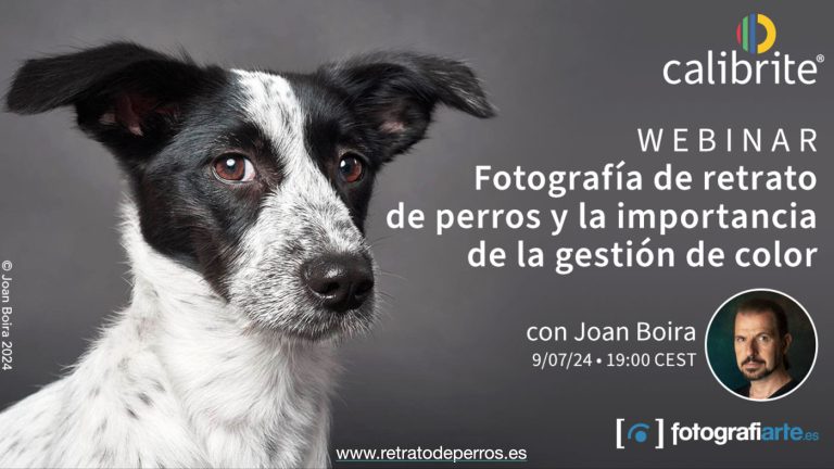 Domina La Gestión De Color En Fotografía Canina