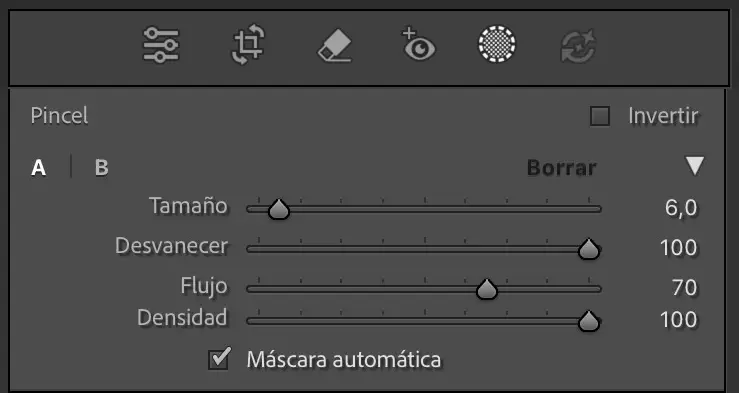 Cómo combinar máscaras en Lightroom Classic 6 Pincel De Lightroom